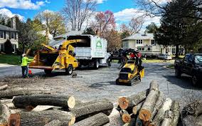 Best Tree Risk Assessment  in Sarasota, FL